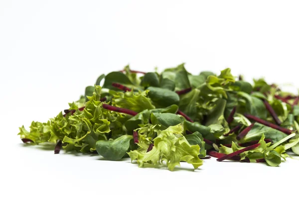 Green salad leaves on a white background — Stock Photo, Image