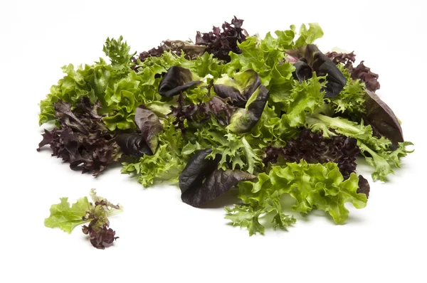 Pile of mixed salad leaves — Stock Photo, Image