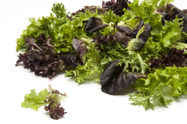 Close up of mixed salad leaves — Stock Photo, Image