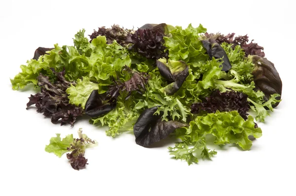 Pile of green and red salad leaves — Stock Photo, Image