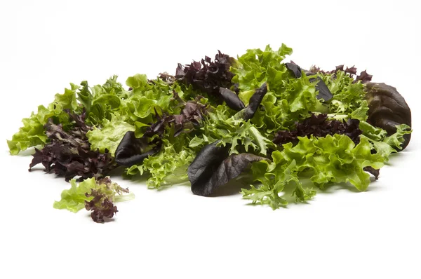 Mixed salad leaves isolated on a white background — Stock Photo, Image