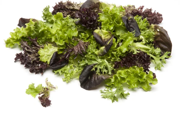 Haufen frischer gemischter Salatblätter isoliert auf weißem Hintergrund — Stockfoto