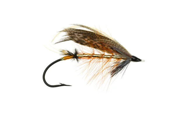 Dunkeld Salmon Fly — Stock Fotó