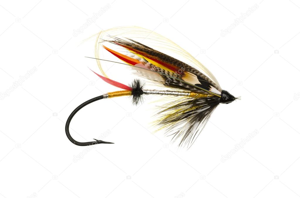 Dusty Miller Salmon Fly