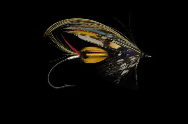 Jock Scott Salmon Fly — Stockfoto