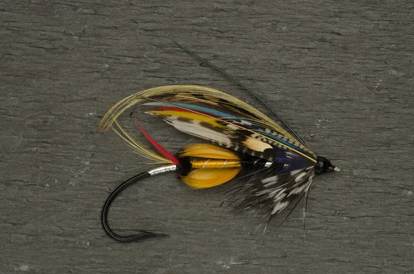 Jock Scott Salmon Fly — Stock Fotó