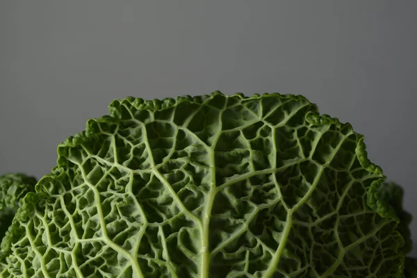 En närbild av en savojkål blad — Stockfoto