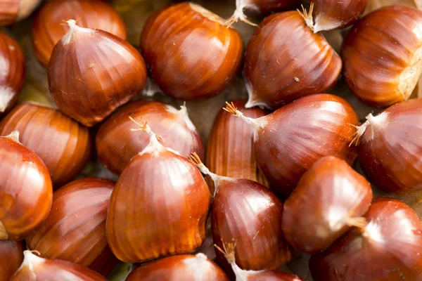 Verse kastanjes samen — Stockfoto