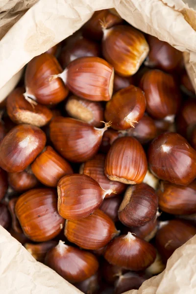 Castanhas frescas juntas — Fotografia de Stock