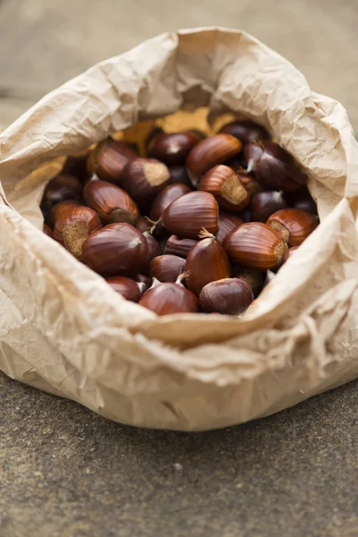 Verse kastanjes In een tas — Stockfoto