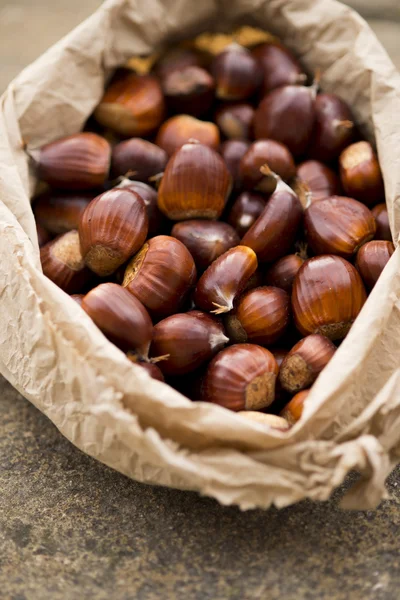 Castanhas recém-colhidas — Fotografia de Stock