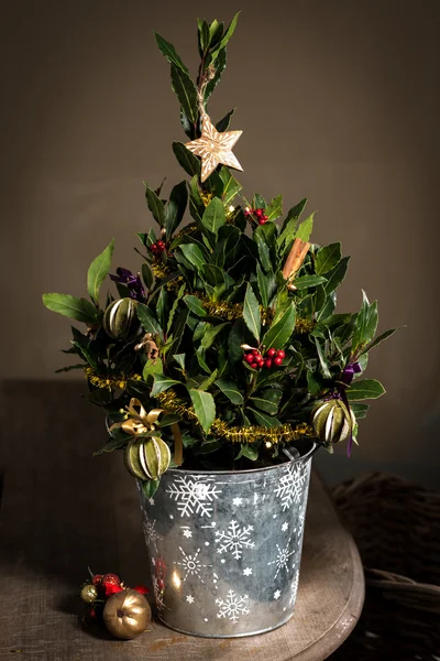 Куст с рождественскими елками украшения — стоковое фото