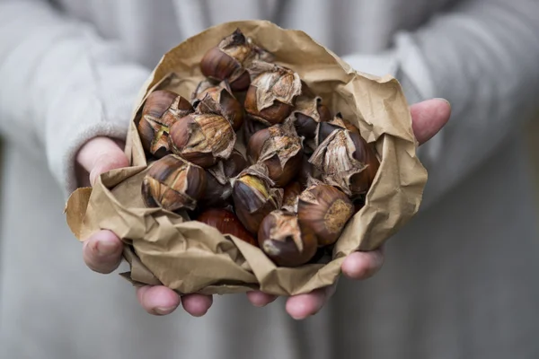 Mãos segurando saco de castanhas assadas — Fotografia de Stock