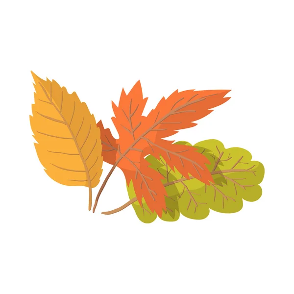 Otoño hojas icono de dibujos animados — Vector de stock