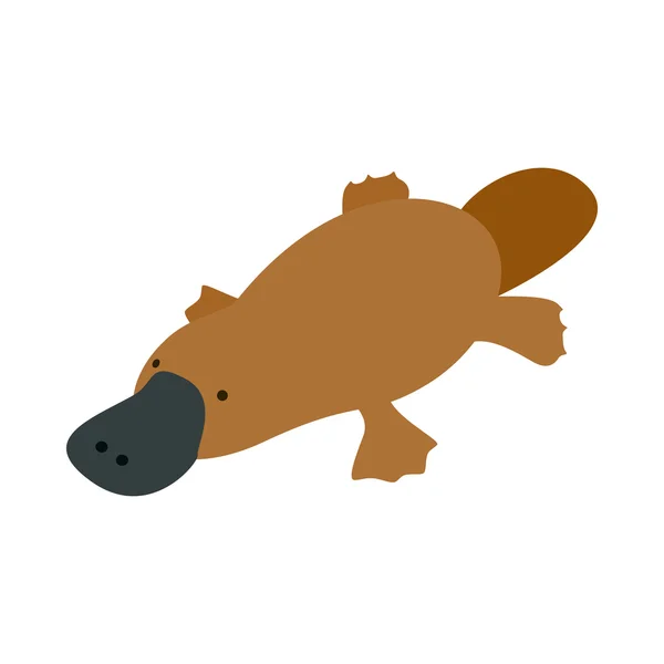 Australian platypus icon, isometric 3d style — Stock Vector