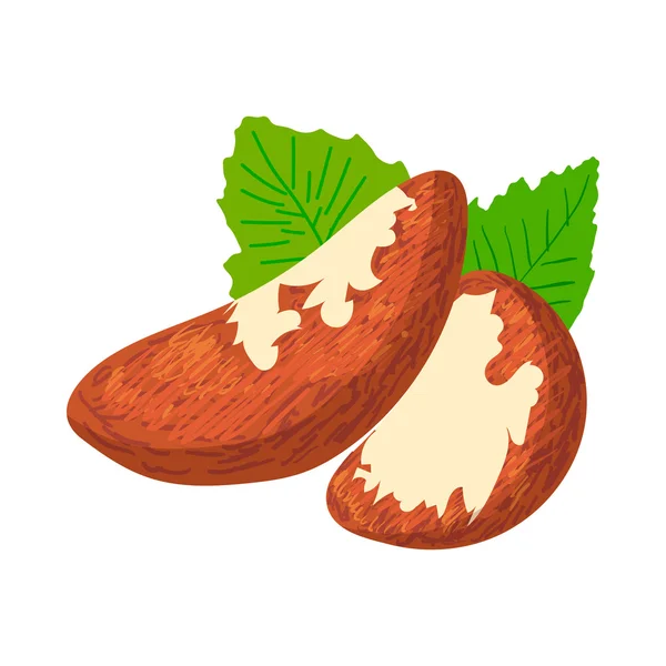 Icono de nueces de Brasil, estilo dibujos animados — Vector de stock