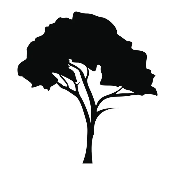 Tabebuja chrysotricha golden trąbkę drzewo ikona, prosty styl — Wektor stockowy