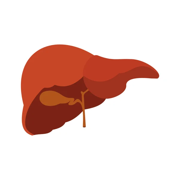 Ícone de fígado humano —  Vetores de Stock