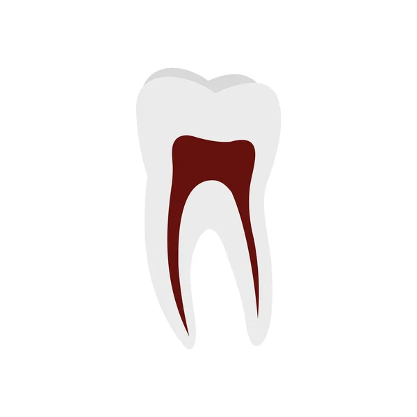 인간의 치아 의표 준 — 스톡 벡터