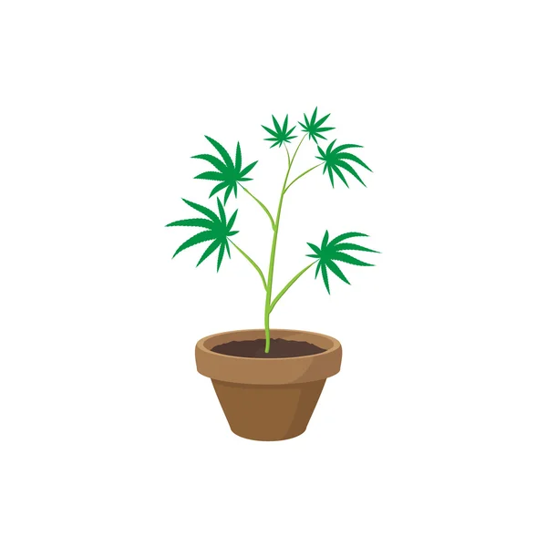 Cannabis plant in a pot icon, cartoon style — Stock Vector