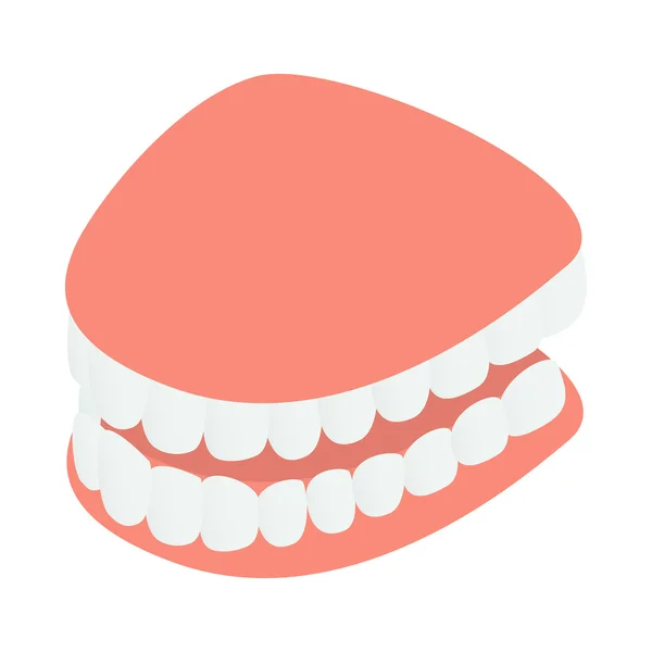 Het pictogram van het model van tandheelkundige kaak, isometrische 3D-stijl — Stockvector