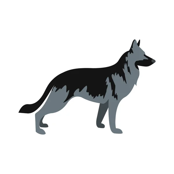 Duits herder hond icoon, platte stijl — Stockvector