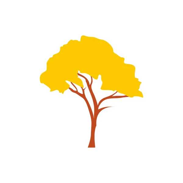 Tabebuja chrysotricha golden trąbkę drzewo ikona — Wektor stockowy
