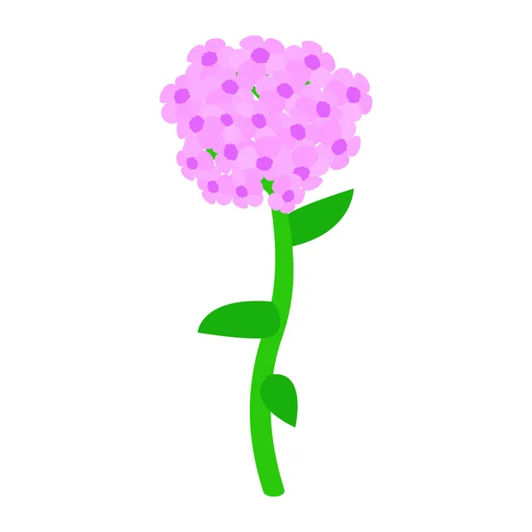 Roze hortensia pictogram, isometrische 3D-stijl — Stockvector
