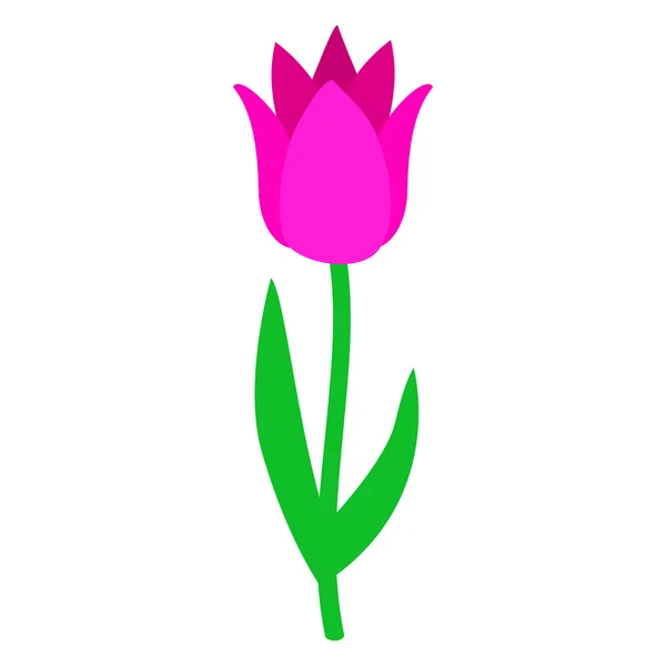 Růžová Tulipán ikona, izometrické 3d styl — Stockový vektor