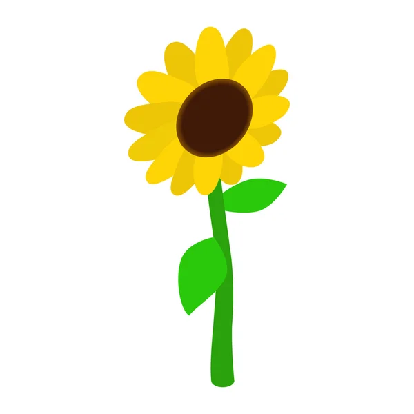 Icono de girasol, estilo isométrico 3d — Vector de stock