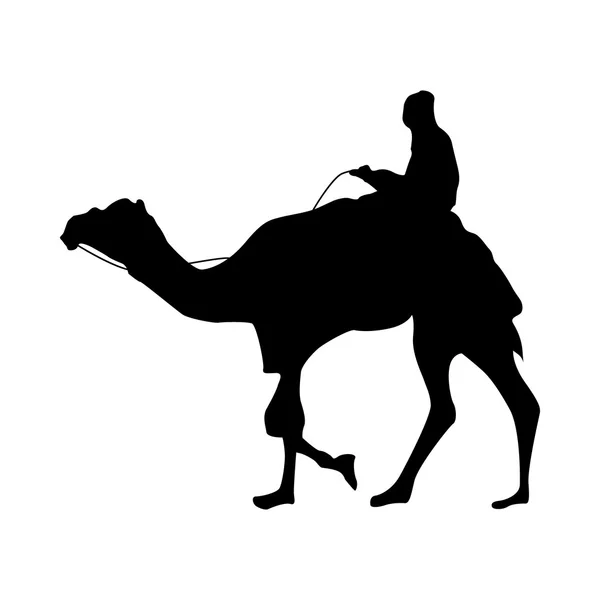 Camel silhouette black — Stock Vector