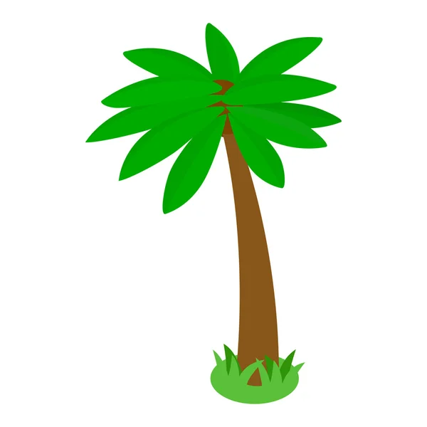 Ícone de palmeira tropical, estilo 3D isométrico — Vetor de Stock