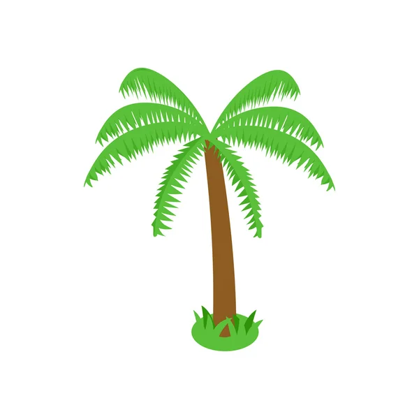 Palm tropik ağaç simgesiyle, izometrik 3d stili — Stok Vektör