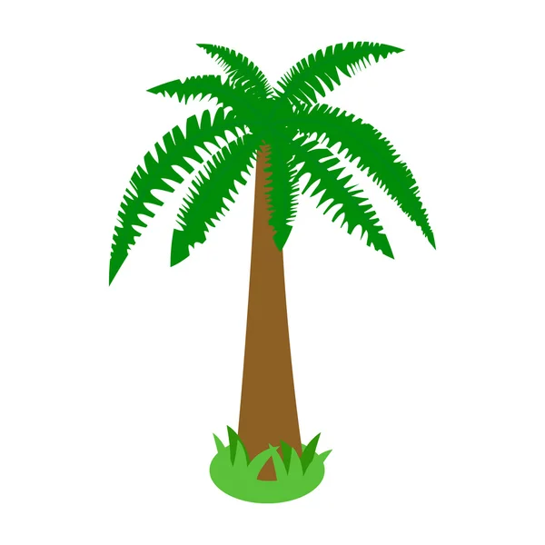 Icono de árbol tropical de palma, estilo isométrico 3d — Vector de stock