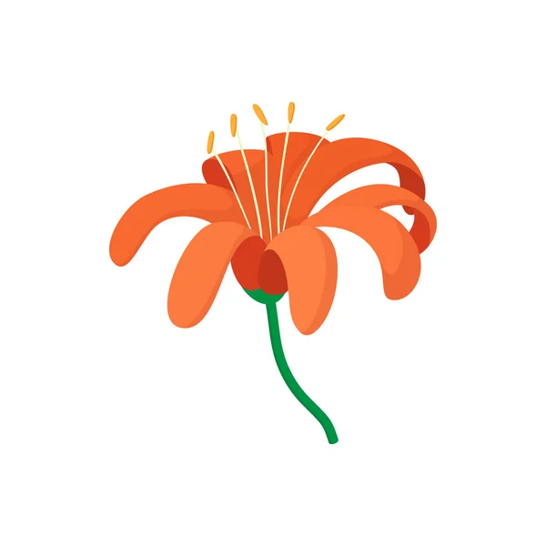 Icono de lirio naranja, estilo de dibujos animados — Vector de stock