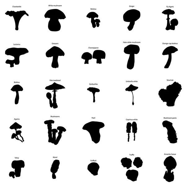 Mushrooms silhouette set — Stock Vector