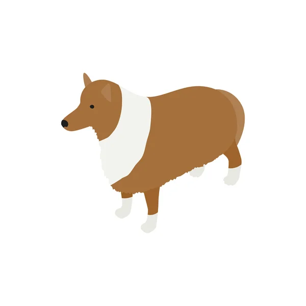 Collie dog icon, isometric 3d style — Stock Vector