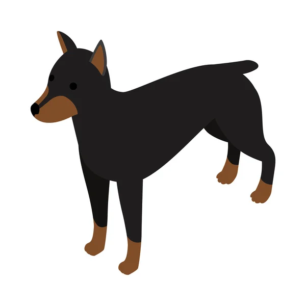 Ícone de cão Doberman, estilo 3D isométrico — Vetor de Stock