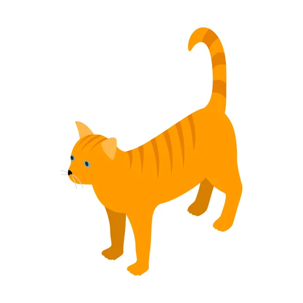 Ícone de gato tabby laranja, estilo 3D isométrico — Vetor de Stock