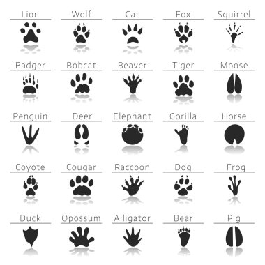 Download Cat Footprint Free Vector Eps Cdr Ai Svg Vector Illustration Graphic Art