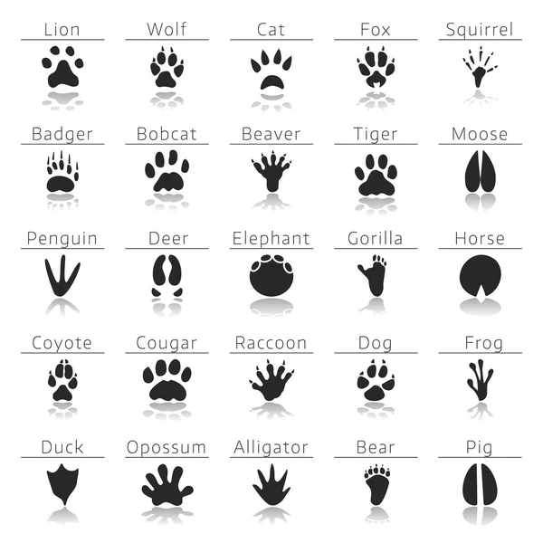 Juego de huellas de animales — Vector de stock