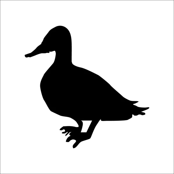 Kachna silueta — Stockový vektor