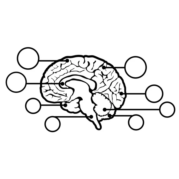 Nuevo signo cerebral humano — Vector de stock