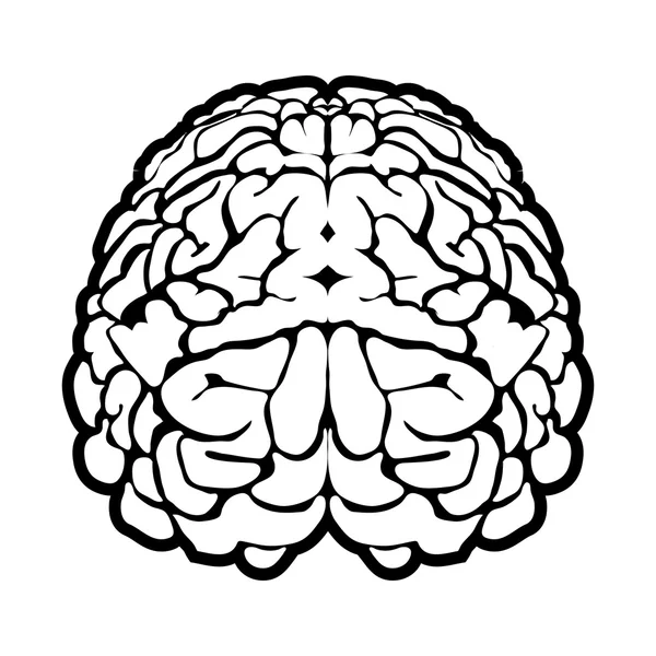 Sinal único do cérebro humano — Vetor de Stock