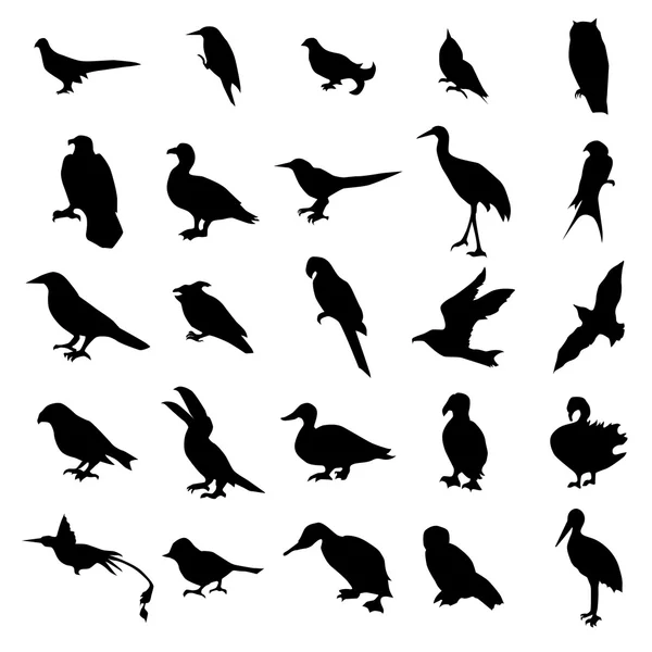 Zestaw sylwetki ptaków — Wektor stockowy