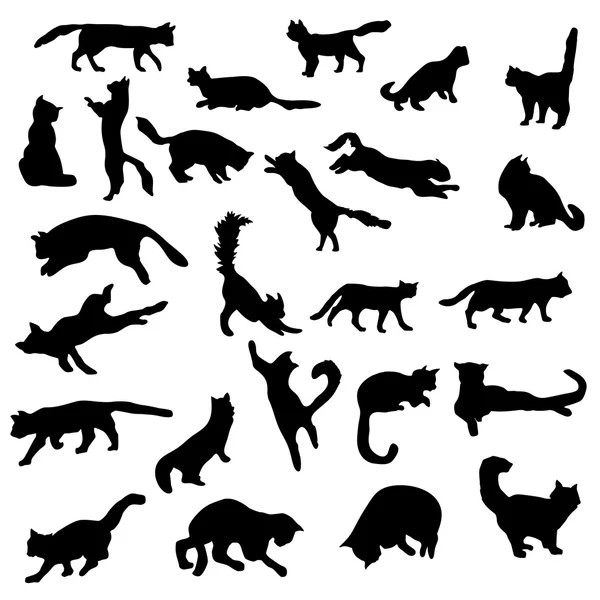 Conjunto de silhuetas gatos —  Vetores de Stock