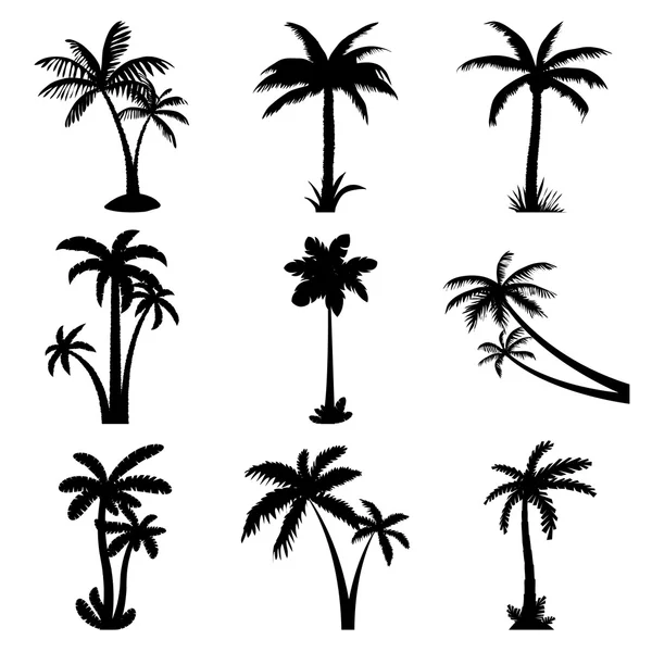 Tropical palm trees set — Stock Vector