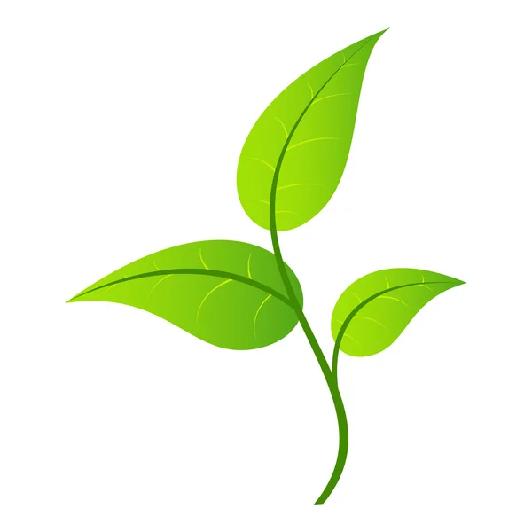 Leaf single icon — Stock Vector