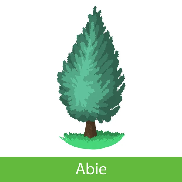 Árbol de abeto icono de dibujos animados — Vector de stock