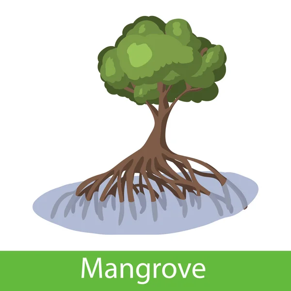 Árbol de dibujos animados manglar — Vector de stock